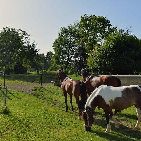 Farm Stay Zevnik Brežice エクステリア 写真