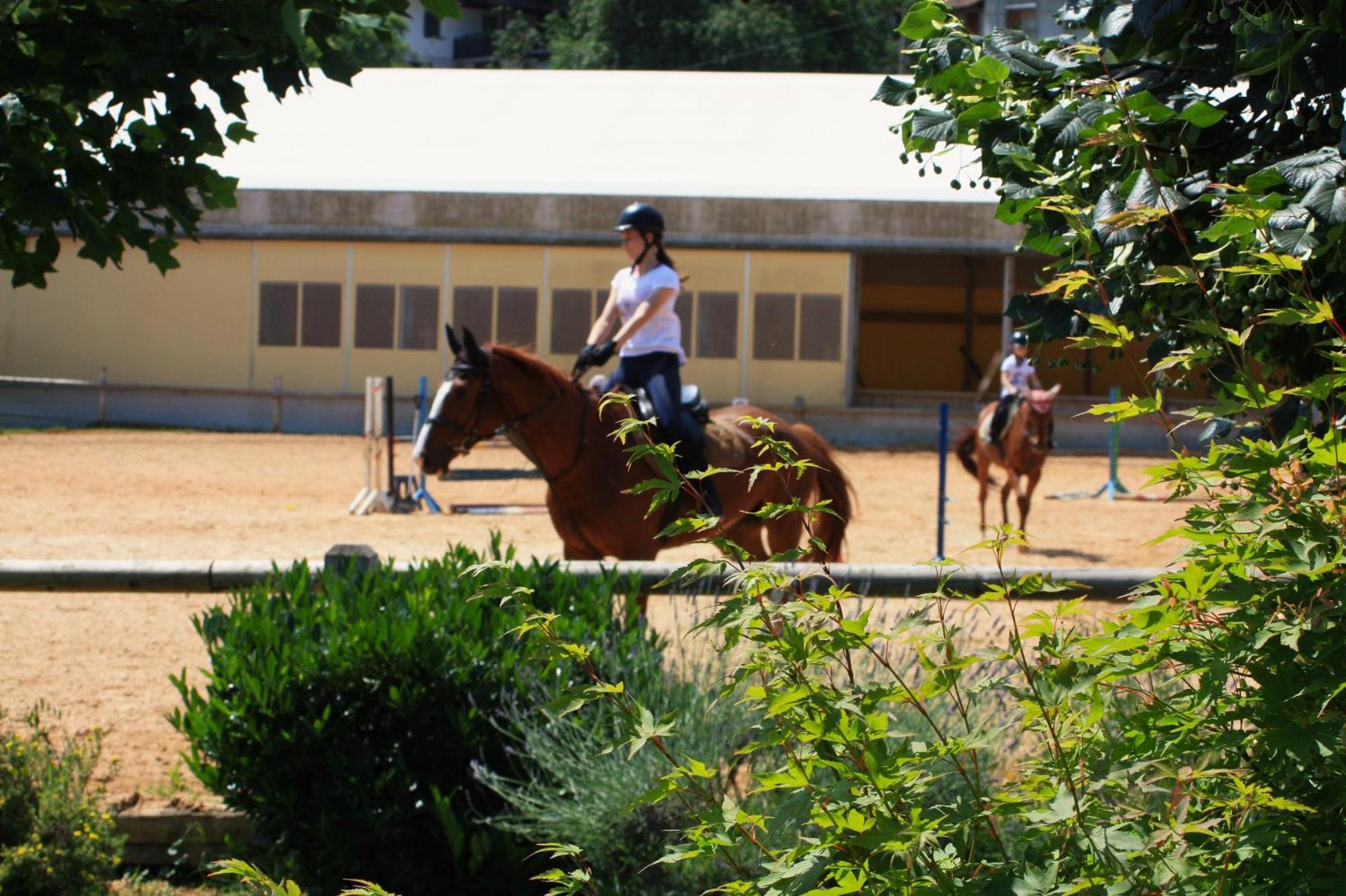 Farm Stay Zevnik Brežice エクステリア 写真